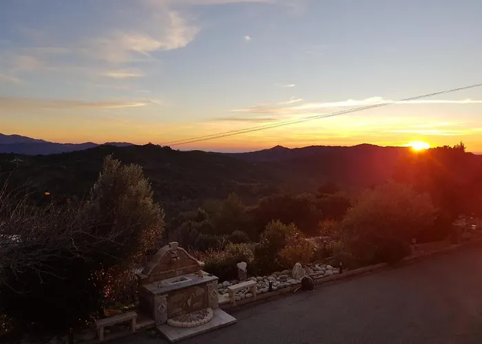 Amon Nos Otes Vezzani